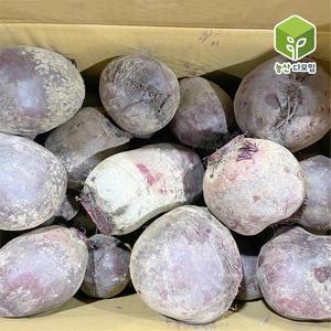 국내산 레드비트 10kg