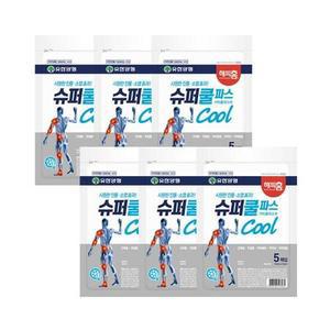 해피홈 슈퍼쿨파스 5매입 6개