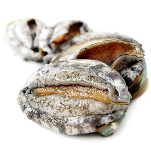 [품질보장] 완도 활 참전복 1kg 30-40마리