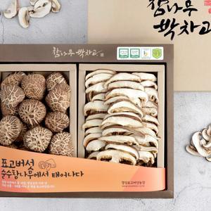 참나무 박차고 유기농 건표고버섯 백화고 흑화고 동고 선물세트