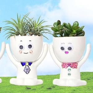 다육이 이오난사 화분키우기 DIY키트 캐릭터화분 만들기 공기정화식물