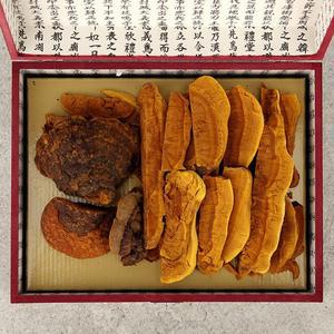 [지리산마천농협][지리산 마천농협] 지리산 마천골 상황버섯 100g (목함+보자기)