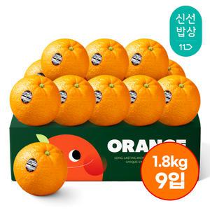 [품질보장] 100년기업 세콰이어 네이블 오렌지 (중과 1.8kg내외)