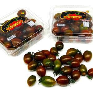 망고향 스테비아 방울토마토 토망고 블랙스윗마토 500g x 2팩