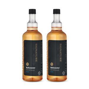 불스원 불스원샷 시그니처 500ml, 휘발유, 2개