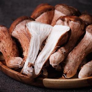나주 유주호님의 무농약 참송이버섯 특품 1kg 선물세트