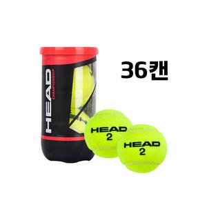 헤드 챔피언쉽 테니스볼 36캔 테니스공 시합구