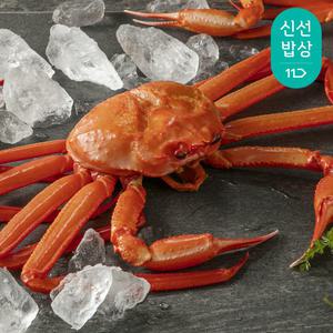 [수율보장제] 더신선 속초 활 박달홍게 2kg 4-5미 내외 / 살수율 80% 이상
