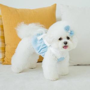 [꼴레트멍멍](김해점)리본 벌룬탑 강아지티셔츠 루앤담