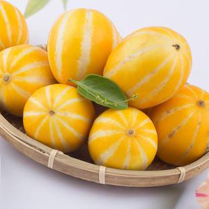 성주참외 특상 로얄과(중과/중소과) 2kg 6-10과 꿀참외