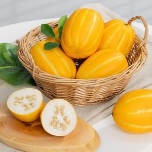성주참외 못난이 대과 2kg 4-6과 꿀참외