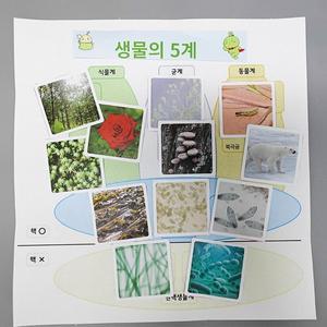 생물의 5계 만들기 (4인용) 생물의다양성 / 생물의분류 실험키트