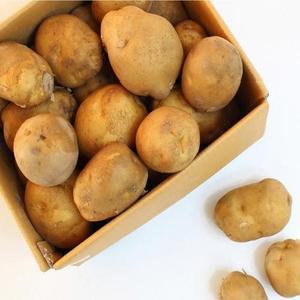 자연애 해도지 햇 못난이감자 찜 요리용 특 100 140g) 20kg