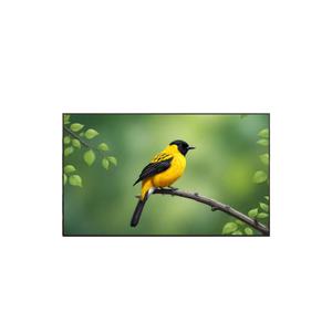1등급 LG 울트라 HD TV 스텐드형 125cm 50UR642S0NC 바름(지역별배송료상이)