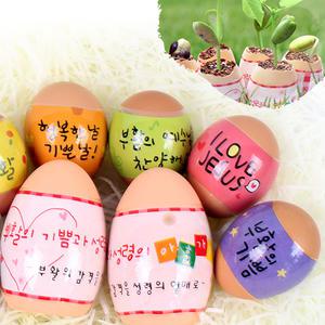 성령의열매 콩키우기 달걀모양 계란화분 부활절화분 낱개 601001