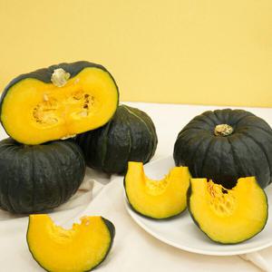 해남 미니밤호박 2kg(4-7과)
