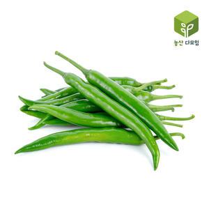 청양고추(특) 5kg