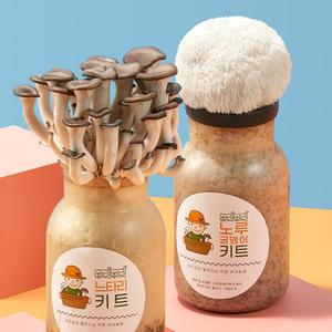 느타리+노루궁뎅이 버섯 키우기 키트