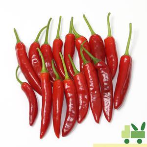홍청양고추 1Kg (특)