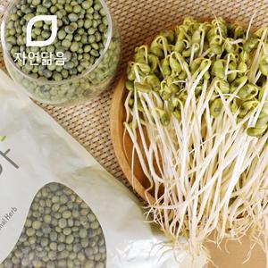 자연닮음 국산 햇 콩나물콩 오리태 오리알태 1kg