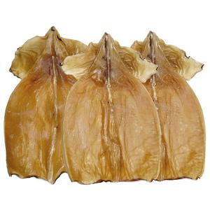 건오징어 몸통 대자 1kg (10-12마리 내외) /마른 안주 오징어 건조 간식 건어물 몸뚱이