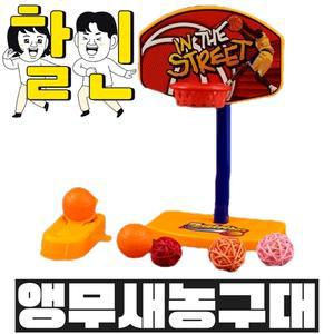 스트레스해소 사랑앵무 공놀이 모란앵무 퀘이커 틱톡 컨텐츠 용품 교육 훈련 농구 놀이