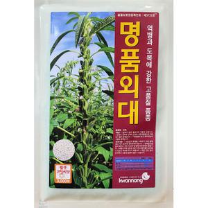 명품외대 3000립 권농 25년 참깨씨앗
