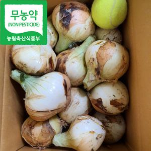 전라남도 함평 무농약 조생종 햇양파 10kg