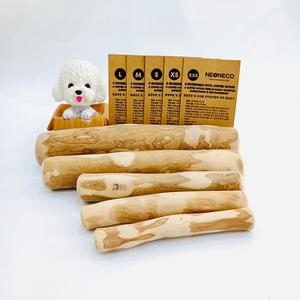커피코들 츄토이 XS