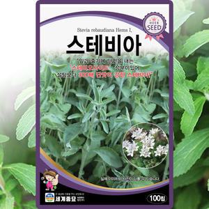 세계종묘 스테비아 씨앗 100립 설탕초 씨 허브 종자
