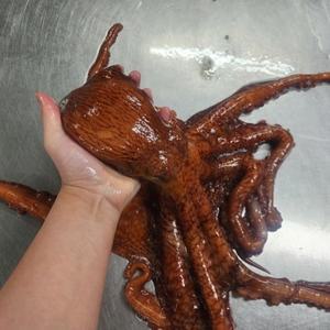 국내산 활 피문어 초대왕 1미 2kg