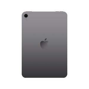 애플 Apple 아이패드 미니 7세대 스페이스그레이 256GB, WiFi전용 MXNA3KH/A / 정품 WJ