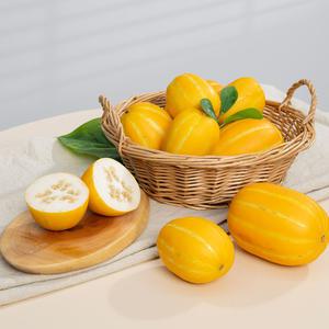 성주참외 특상 랜덤과 5kg 10-40과 꿀참외