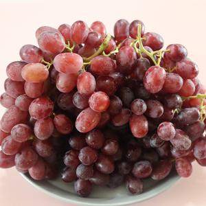 프리미엄 고당도 캔디 포도 크림슨 2KG