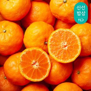 [깨비농원] 고당도 제주 카라향 1.5kg/2개 구매시 4kg 외 한라봉 4kg