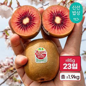[품질보장] 2025 제스프리 루비 레드키위 (23입 1.9kg내외) 뉴질랜드산 맛젤