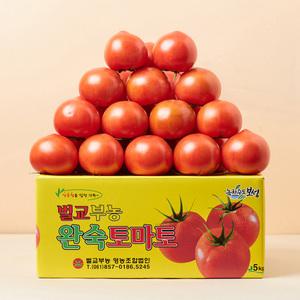 [품질보장] 달콤트리 완숙토마토 5KG (소과)
