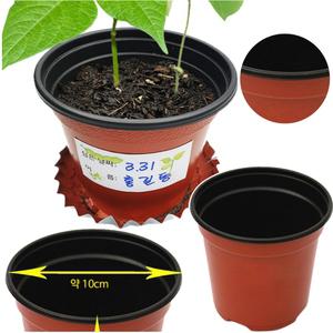 식물성장 관찰용 화분 꽃심기 씨앗발아 실험 무토양 다육이 분갈이 재배화분 (4개 3세트)