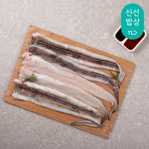 [품질보장] 국내산 활 바다장어 1kg 1-3미 (손질 후 700g 머리,뼈 포함) +소스2종+초생강