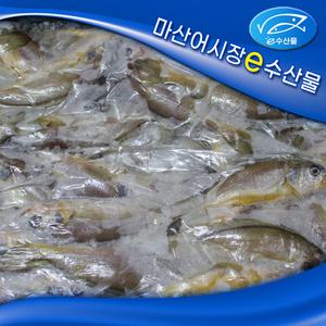 국산 제주도 냉동 참조기 15kg 한상자 260마리 한박스 굴비 구이 매운탕 맛있는 조기