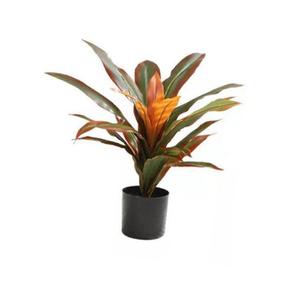 55cm 조화 드라세나