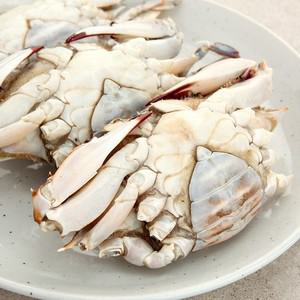 [오초록] 3대가 이어온 연평도 봄 암꽃게 몽당(알배기) 1kg   4 6미   급냉