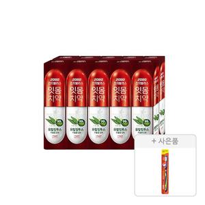 2080 진지발리스 유칼립투스 스트롱민트향 치약 150g, 10입, 1개 + 증정(토탈케어 칫솔, 일반모, 1개)