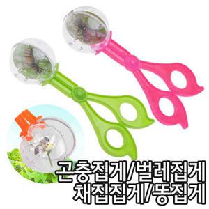 곤충사냥을 떠나자! 곤충집게(중) / 탐구학습 관찰일지 잠자리채집 벌레집게 똥집게