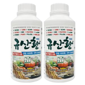규산황 진딧물 총채벌레 고추 탄저병 살충제