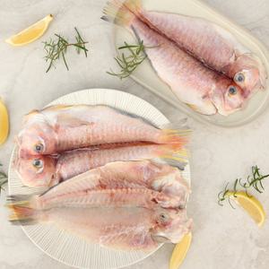 [롯데백화점]오초록 오초록 명품 제주 옥돔(특대) 4미 세트 1.12kg(옥돔280g*4미) / 부직포가방