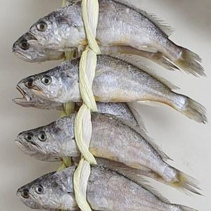 법성포 영광굴비 가정용세트 20미 1.5kg 명절 밥상