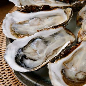 통영 거제 석화 10kg (100미 내외)