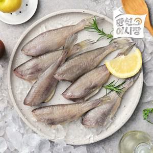 [만선어시장] 국내산 반건조 두절 참조기 250g x 3 (팩당 9-10미)*