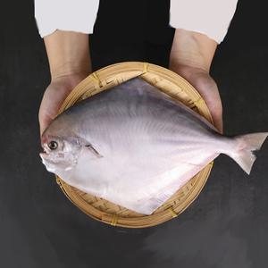 남도삼대농수산 국내산 병어(횟감용)3미(350~400g네외)